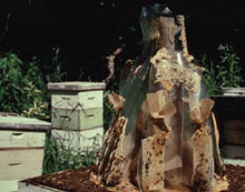 Picture of glass dress covered in beeswax