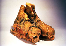 Picture of skates covered in beeswax