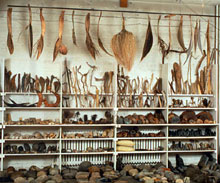 Photo of  Safdie's Inventory